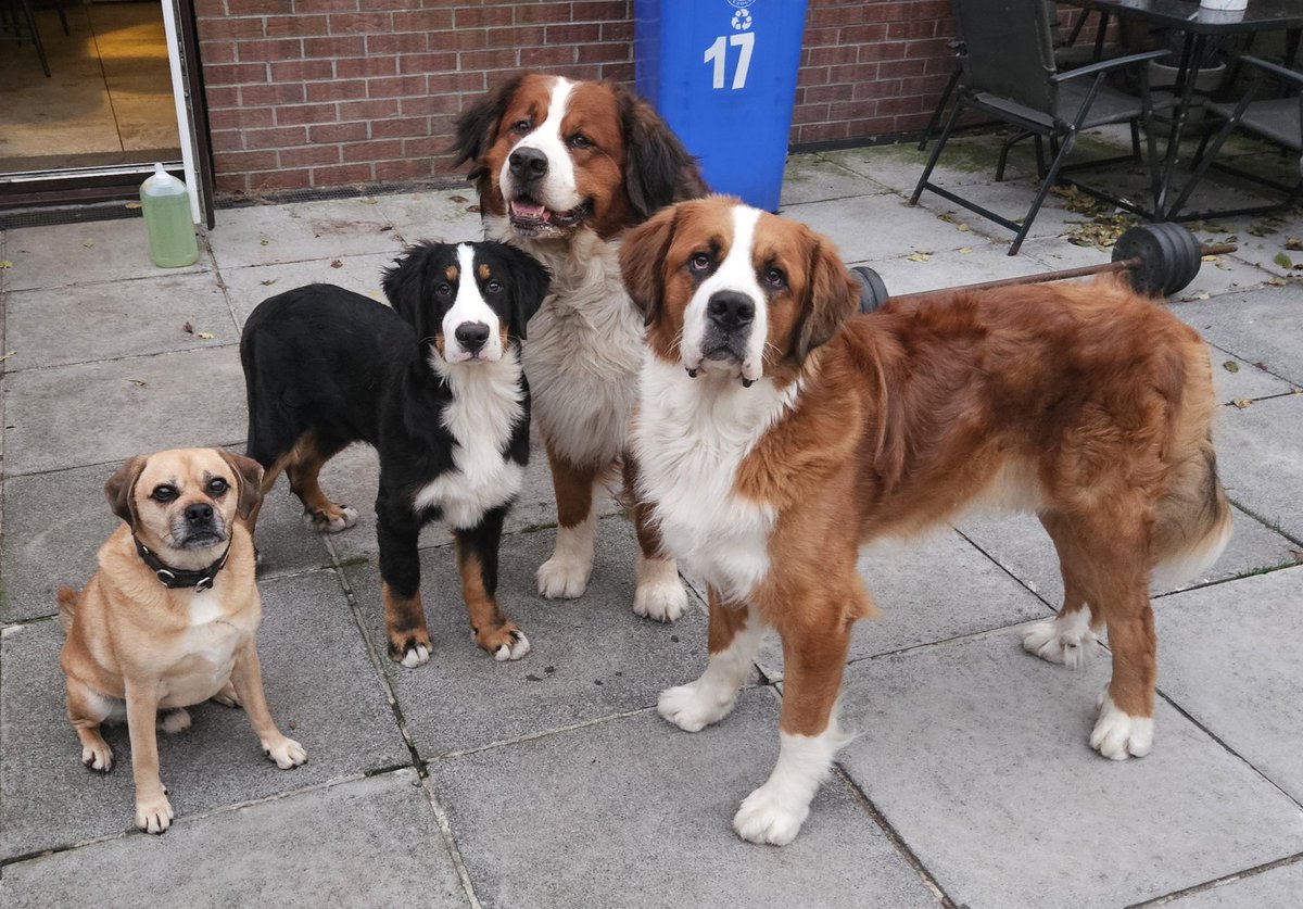Around where I live, most people know me as a doggy man. One thing about being a doggy man is that the dogs need walked and so I get out and about in my local community of West Belfast and I see lots of people in our community.

I've seen it change in my lifetime... 1/5