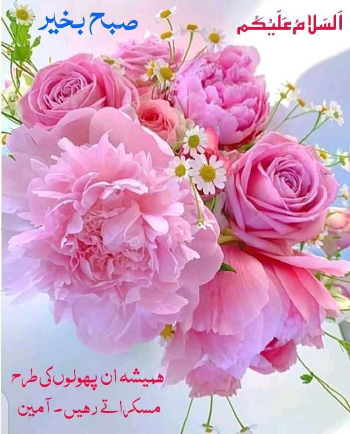 اسلام علیکم آپ سب دوستوں کو