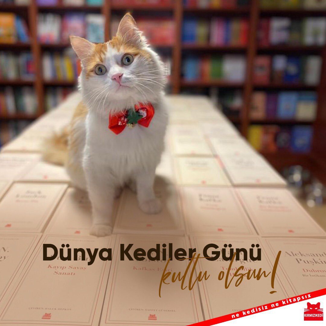 🐾 Dünya Kediler Günü kutlu olsun!

#kırmızıkedi #nekedisiznekitapsız #dünyakedilergünü
