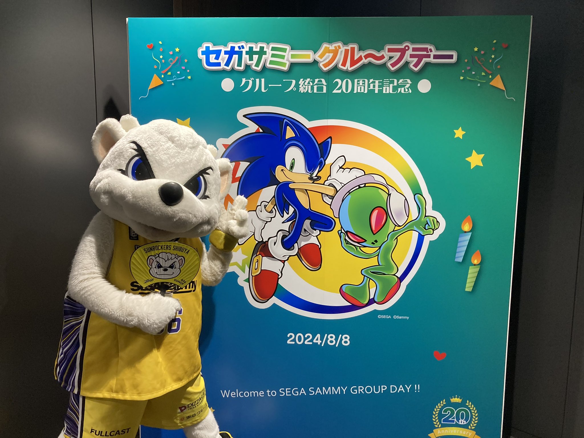 【24時間以内/匿名配送】非売品 デサント 立命館大学 スキーチーム 上下 M 24時間以内/匿名配送】非売品 デサント 立命館大学 スキーチーム