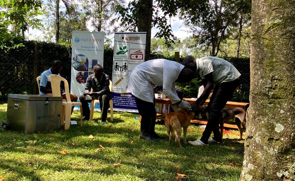 AccessDrop's tweet image. Rabies is a significant cause of animal deaths globally.  In Kenya, it remains a serious concern, with nearly 2,000 human deaths annually. 
#Vaccibox aids in combating rabies by ensuring vaccines are transported and stored, maintaining 100% efficacy, even in remote areas.