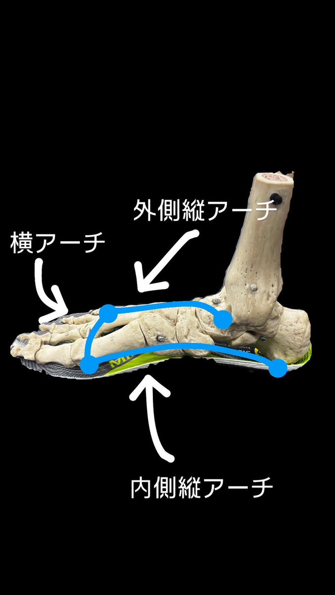 Ishii_tachikawa's tweet image. #石井スポーツ立川店 です
#SIDAS （シダス）のインソールです

こちらのインソールは、3つの足裏のアーチをサポートして、バランスを整える事が出来ます🦶🏻

普段履きのスニーカーから登山靴までご使用いただけます✨

是非、ご来店お待ちしております✌

#インソール　#足のお悩み #足の裏 #シダス
