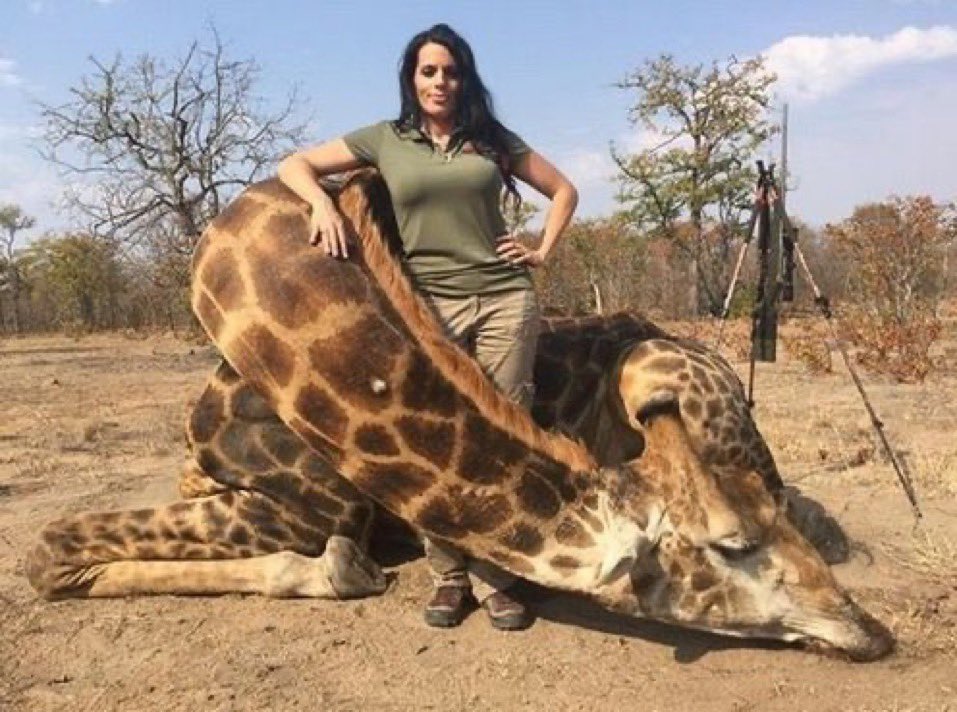 Trophy Hunting is sick and psychopathic and should never be normalized. Please RT if you agree that there should be a global ban on trophy hunting #BanTrophyHunting