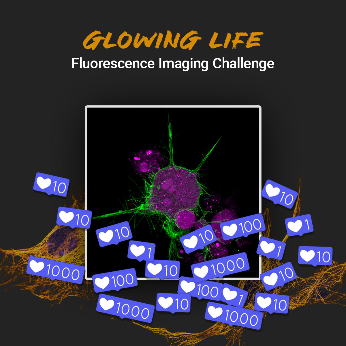 🚨 It's crunch time for #GlowingLifeChallenge! Likes on LinkedIn can win you extra points from the Jury Joker. 🔥 Rally your network, gather likes &amp; boost your score! challenge.atto-tec.com #ScienceCommunity #ResearchRecognition #ProfessionalNetworking #attotec
