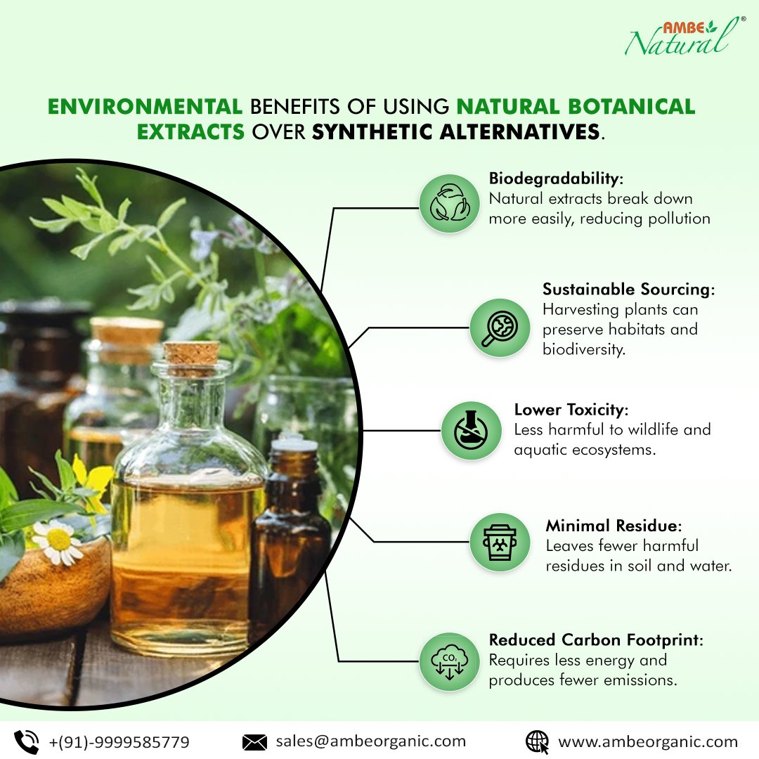 ambeorganic's tweet photo. Discover the environmental benefits of using natural botanical extracts over synthetic alternatives.

#EcoFriendly #BotanicalExtracts #Sustainability #AmbeNatural #herbalextractor #ambeorganic https://t.co/WZif1mIsQw