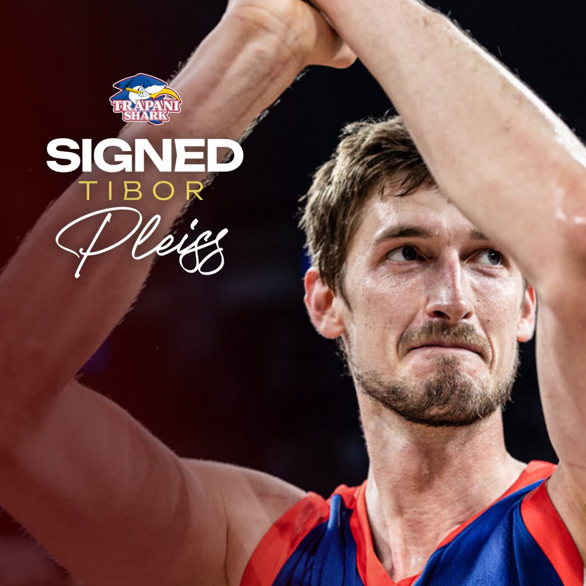 Andrea__Calzoni's tweet image. ✅🇮🇹OFFICIAL
Tibor Pleiss signs with Trapani Shark and he arrives in Italy, in the LBA, for the first time in his career. Everything confirmed.
#LBA #SerieA #Trapani #TrapaniShark #Pleiss #LegaBasketA #EuroLeague