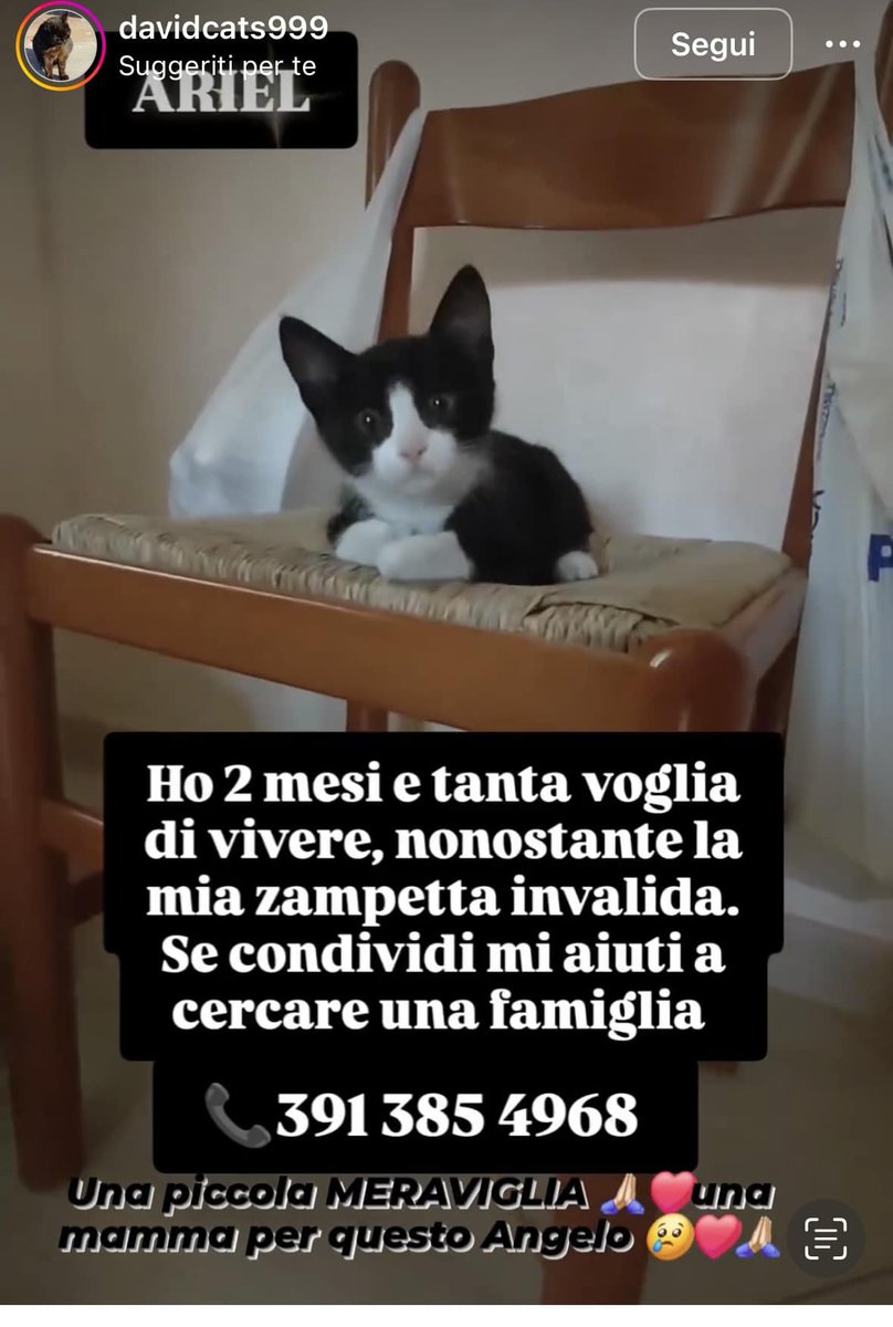 Roberta Papa (@robertapapa13) on Twitter photo 