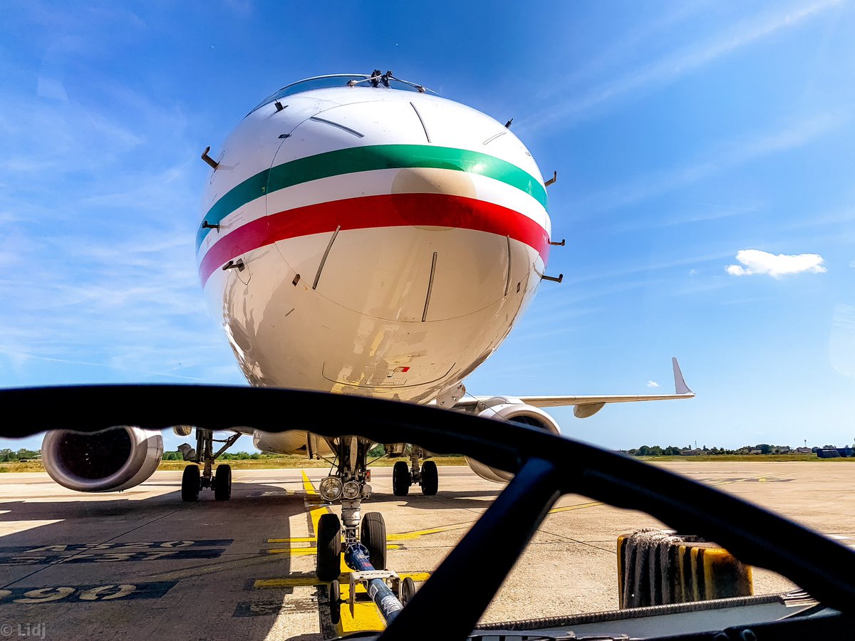 Lidj 🐾 tweet media