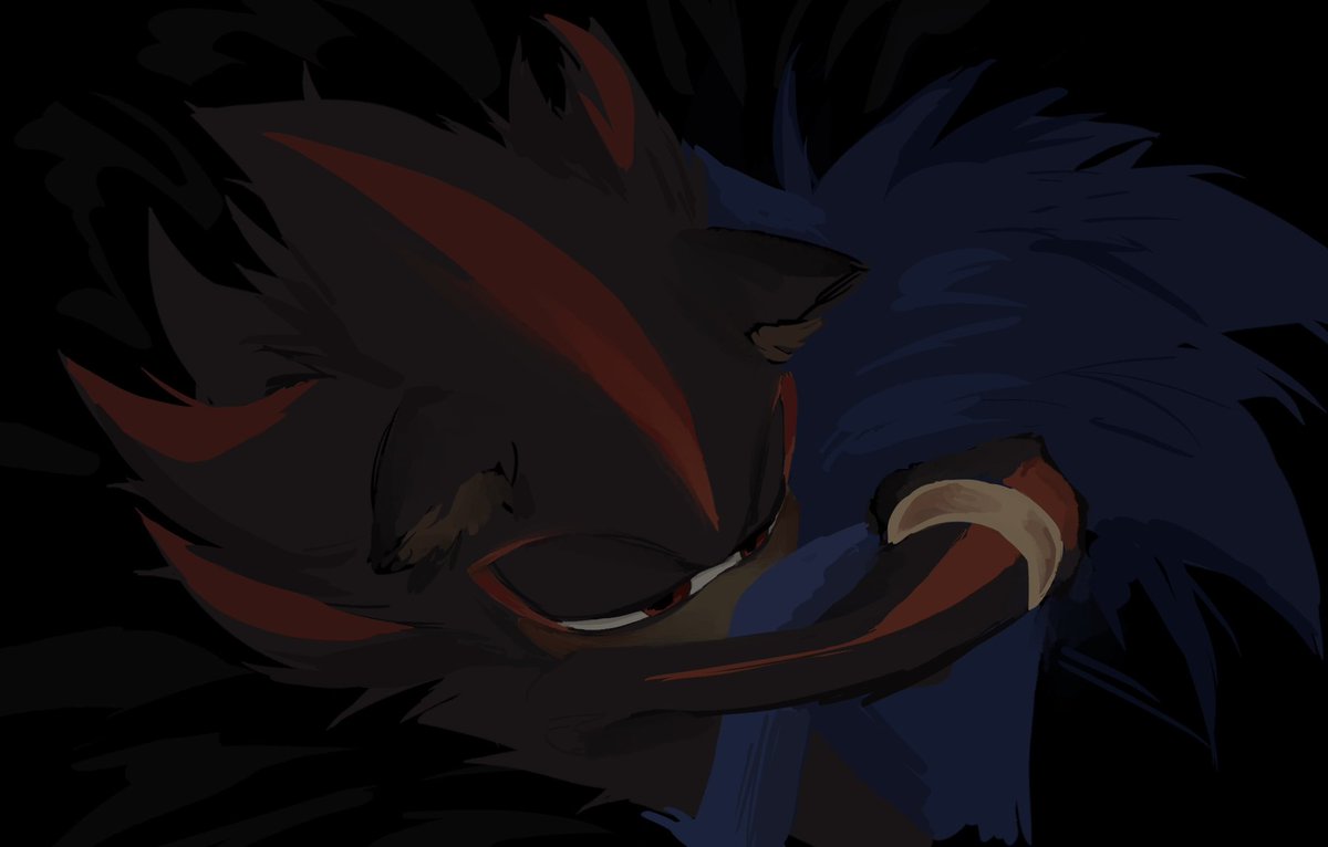 gonna post this doodle for now meanwhile i need everyone to bully me into finishing my animation

#sonadow