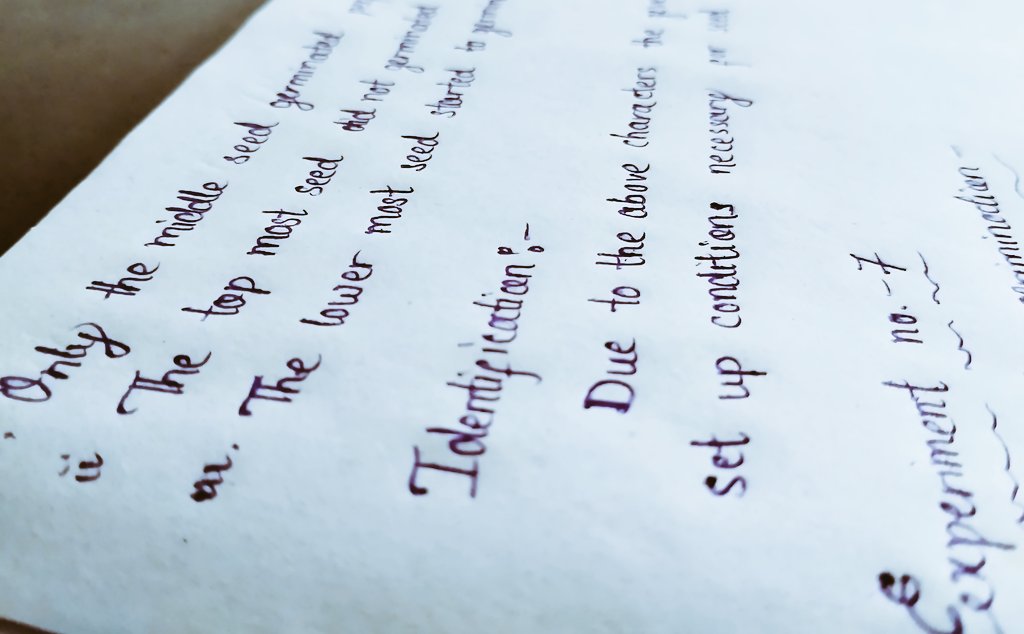 iamsubhasmita__'s tweet photo. Let's do #handwritingtwitter📝 https://t.co/BBXbcYH9zr
