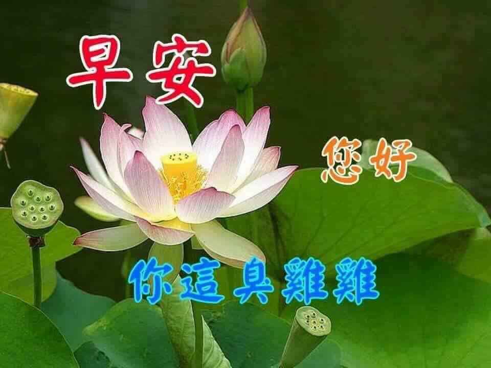 sg_1230's tweet photo. 早安 https://t.co/KFBJzZhJl7