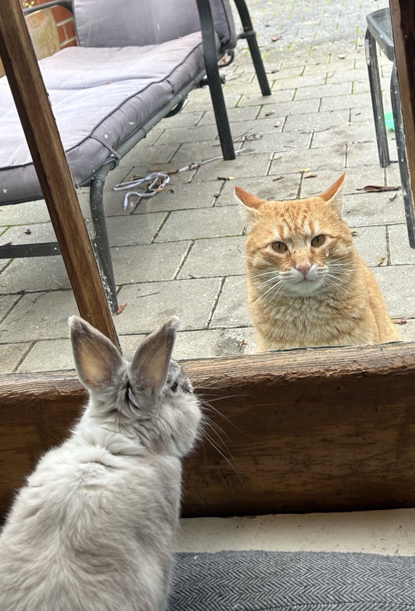 Liam McIlvanney tweet media