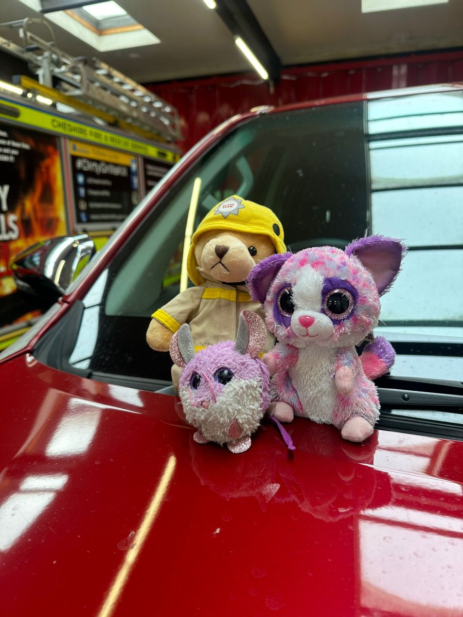 FrodshamFire's tweet photo. We sadly lost our owners at the Open day on Sunday.
We're being looked after by our new friends, but we'd like to go home now - these lot keep talking about sending us up ladders🥴 https://t.co/bj2rbWvuZX