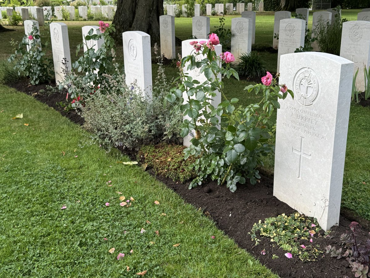 WHW-Highland IC tweet media