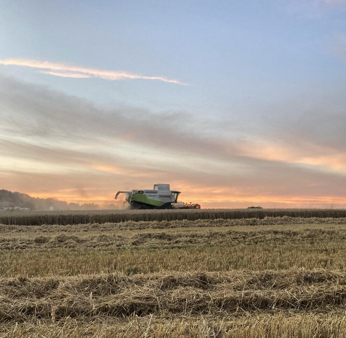 York Auction Centre tweet media