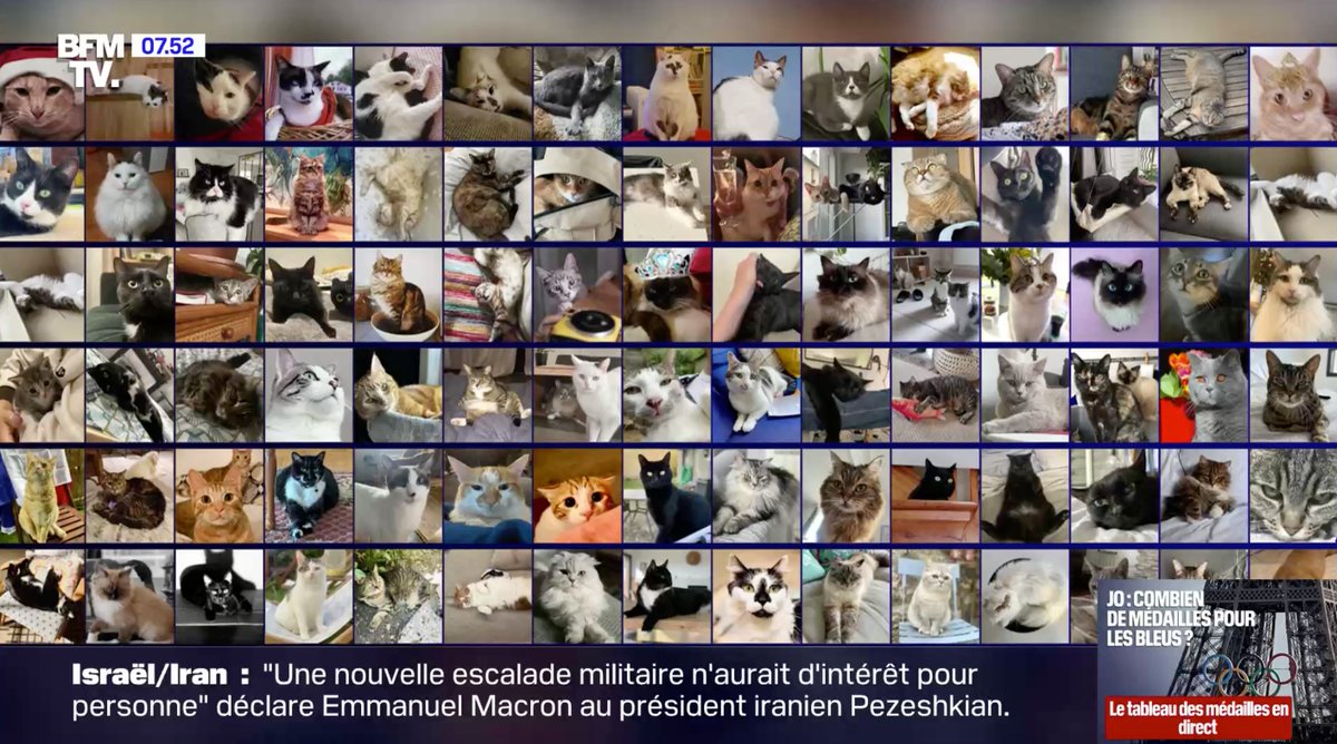 David Unal tweet media