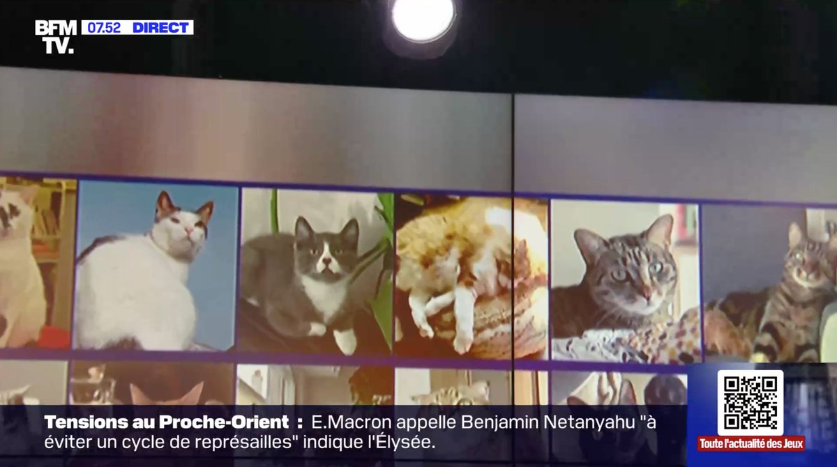 David Unal tweet media