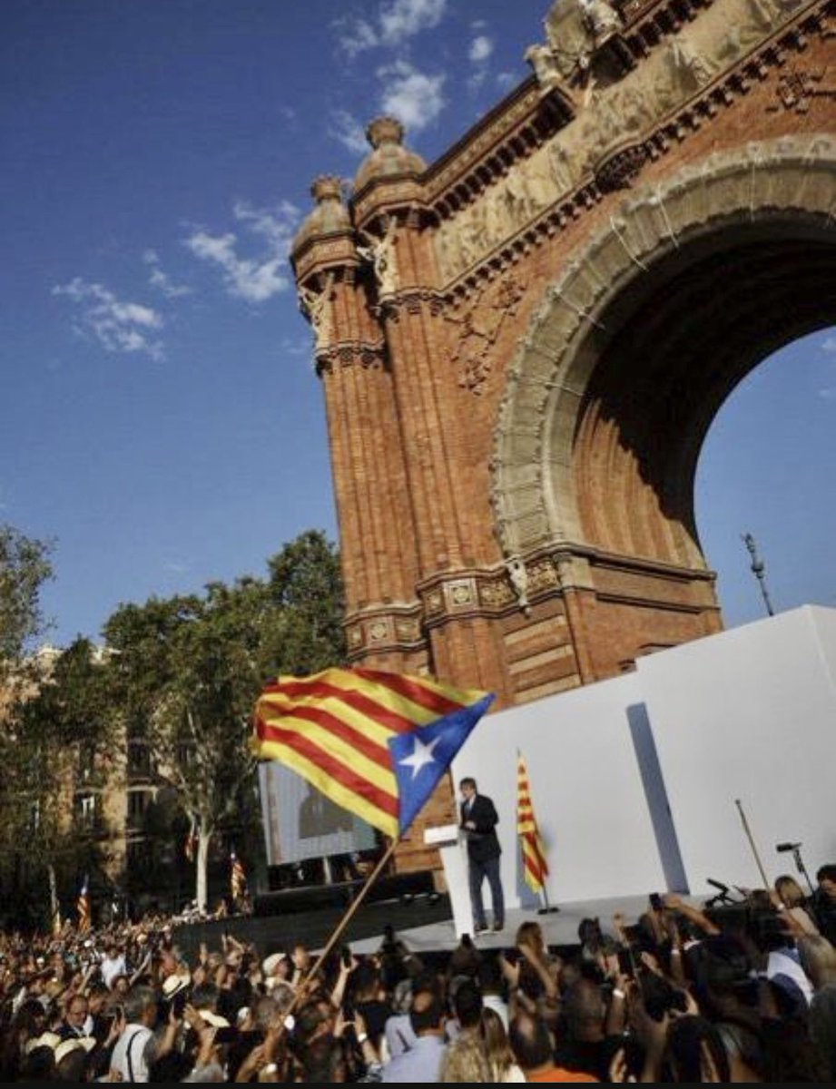 Francisco Bernabé tweet media