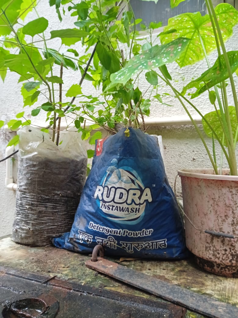 Rudradetergent's tweet photo. After used detergent powder
West me se best banaya | happy customer #rudradetergent #detergent #saveenvironment #environment #plastic #reused https://t.co/Yr0WhWY2NH