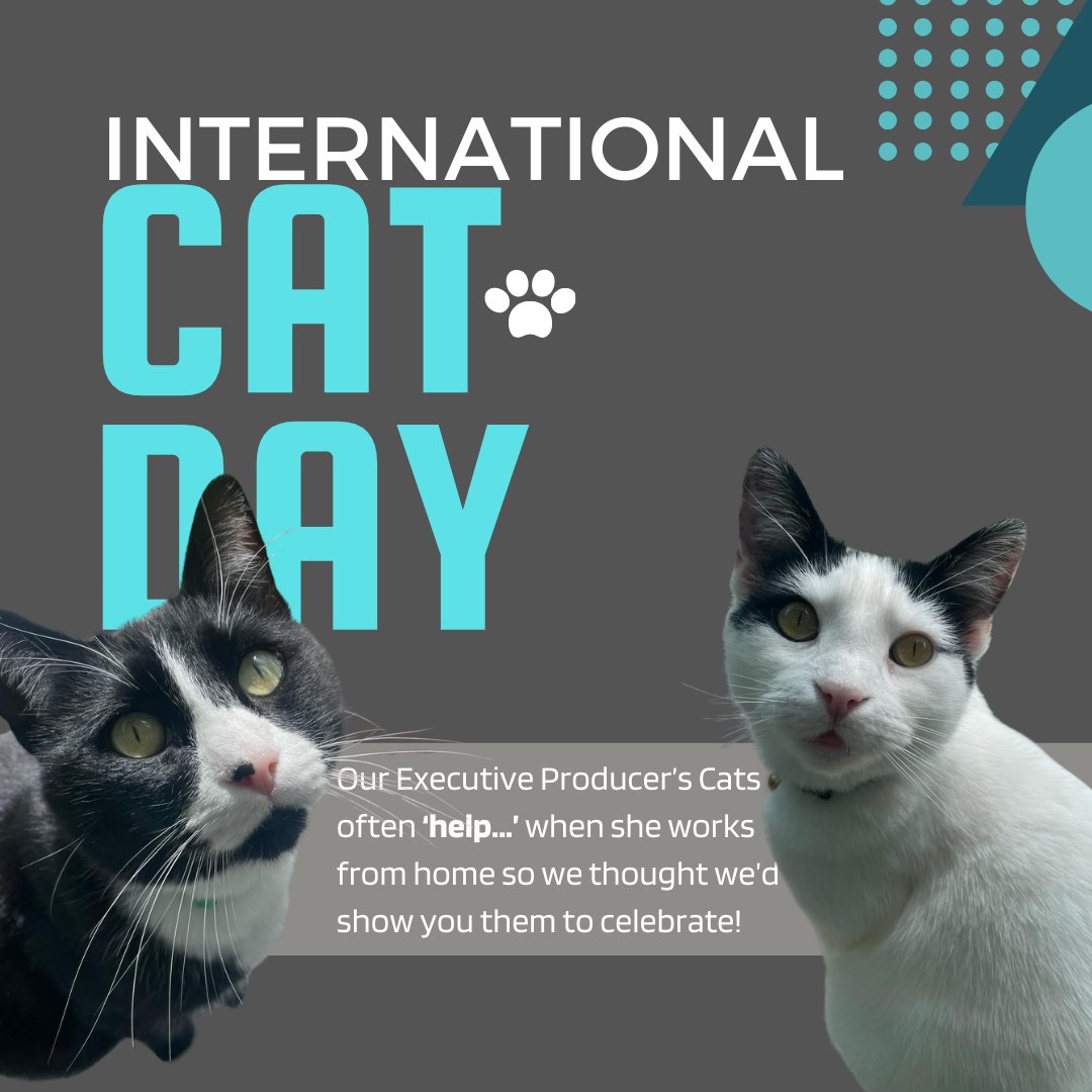 Our Executive Producer’s Cats often ‘help...’ when she works from home so we thought we’d show you them to celebrate! #InternationalCatDay #ClaytonTV