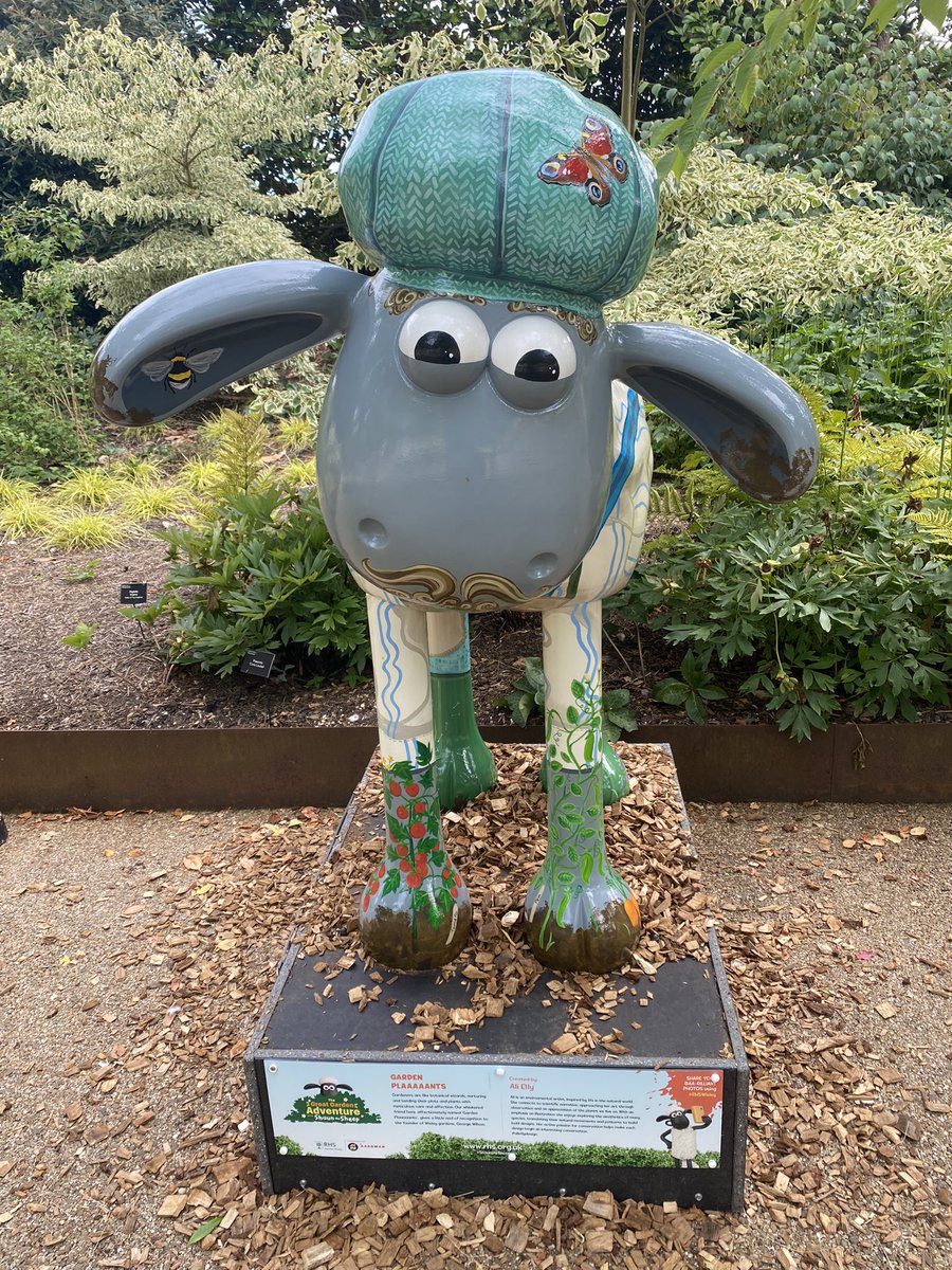 TheGreenJeanie's tweet photo. Day 4 @RHSWisley with @shaunthesheep on his #gardenadventure. Lots to do with the kids! Come & see my #minibeast & #pollinator #naturetable in the #CloreLearningCentre lots of #funactivities for the #summerholidays https://t.co/34qQP8Xnak