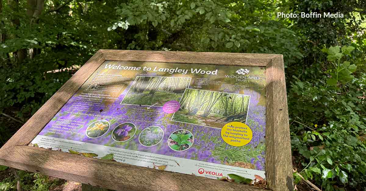 🌳🍃 Into the woods and through the trees… to our new podcast episode where we explore the past, present and future of the UK’s woodlands with @WoodlandTrust &amp; UKCEH’s Stephen Cavers! 

🎧 Listen now wherever you get your podcasts! 

audioboom.com/posts/8552713-…

#Bunce #trees 1/