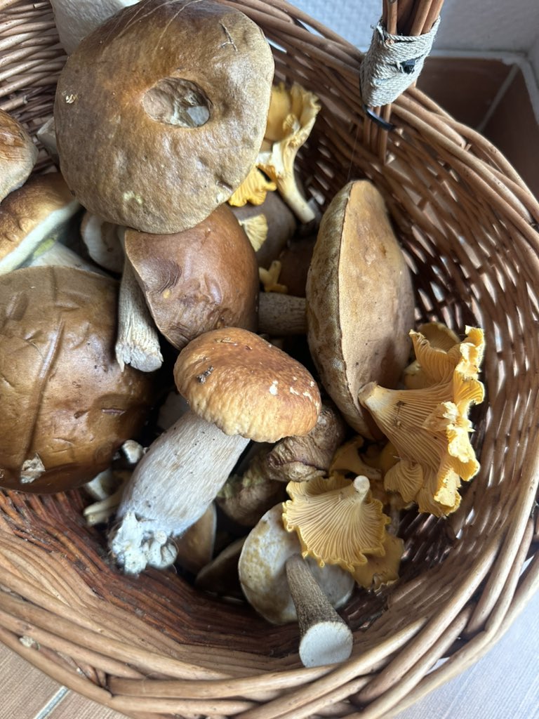 To jest obłęd! 😍❤️