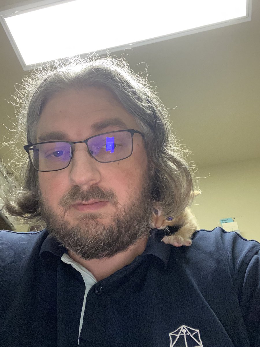 OneNerdyOpinion's tweet photo. While they’re here, I’ve named them Dandruff the Orange. Because it’s a wizard, obviously, and they’re constantly on my shoulders. https://t.co/uhwoVmw6lm
