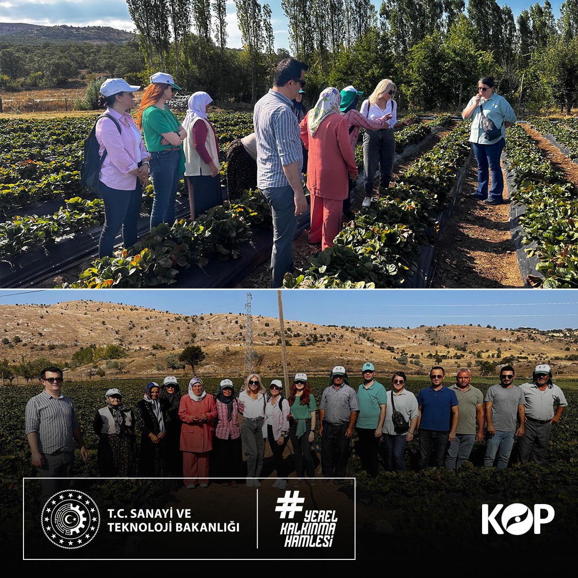 Ülkemizin çilek üretiminin %10’unu sağlayan bölgemizde çilek üretimindeki eksikliklerin giderilmesi, verim ve kaliteyi artırmak amacıyla Bozkır İlçe Tarım ve Orman Müdürlüğü’nün ev sahipliğinde teorik ve uygulamalı eğitimler verilmiştir.

<a href="/TCSanayi/">Sanayi ve Teknoloji Bakanlığı</a>