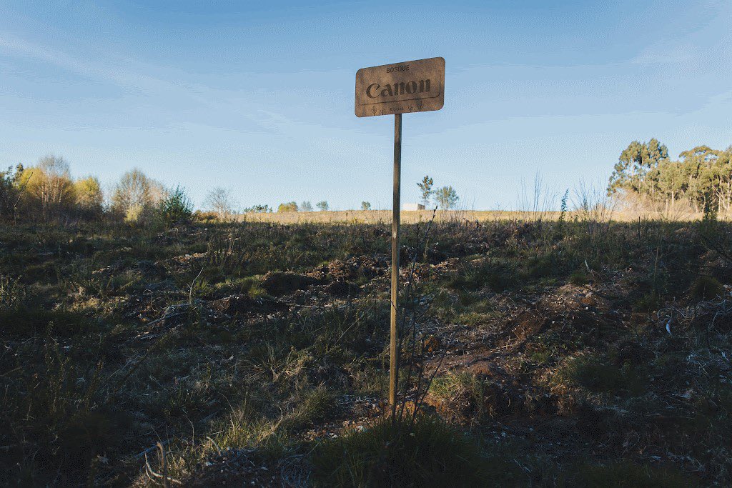 copilaloma's tweet photo. CANON ESPAÑA RENUEVA LOS SELLOS “CALCULO”, “COMPENSO” Y “REDUZCO”. 🌱

Canon fue el primer fabricante del sector de la impresión en recibir estos sellos que son un reconocimiento al esfuerzo acometido por las organizaciones en la lucha contra el cambio climático. 🌍 https://t.co/qmW78aYu7u