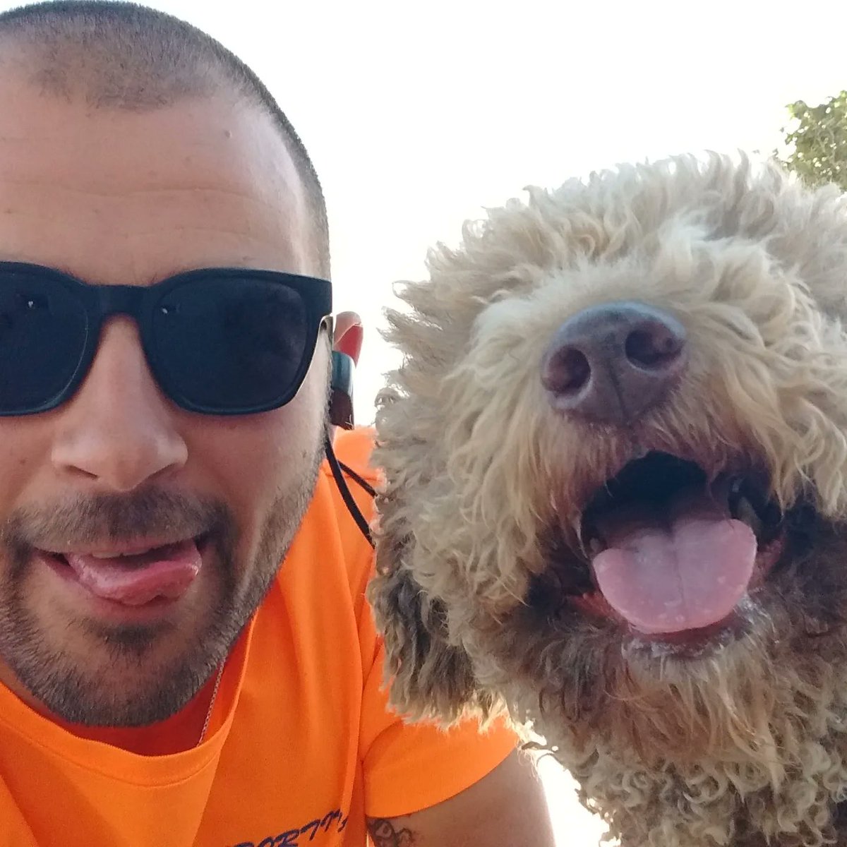 MrFlorito's tweet photo. Nunca te olvidaré, mi gorda. Solo espero que disfrutaras a mi lado como yo lo hice al tuyo. Siempre te llevaré conmigo 🐾❤️ https://t.co/bv6Ef5RjZQ