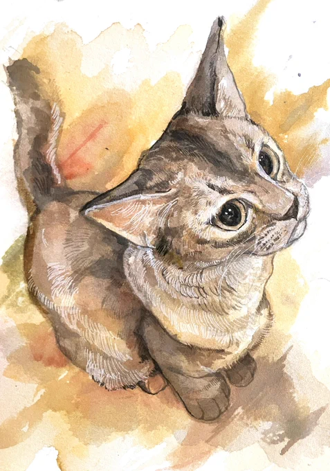 #世界猫の日 皆さんは猫飼ってますか?