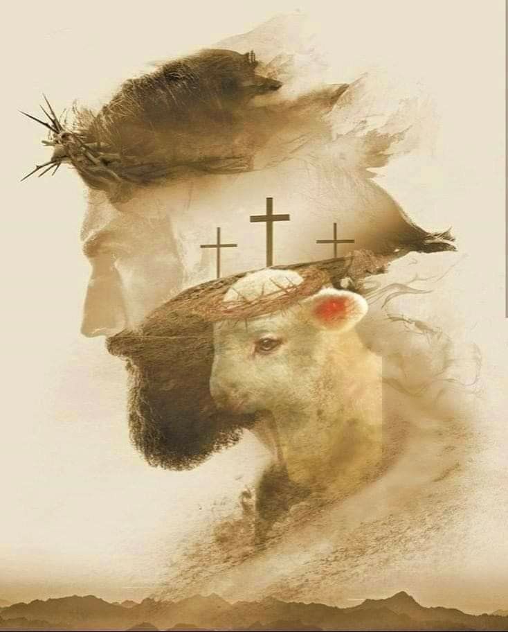 Lamb of God Who takes away the sins of the world, have mercy on us