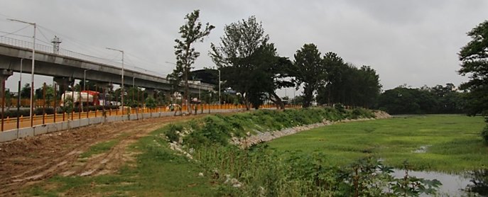 "Harnessing rainwater along the #NammaMetro Lines to replenish Lakes", A report that explores opportunity to improve water quality of six lakes in #Bengaluru.
To be submitted to <a href="/MDNammaMetro/">MD Bangalore Metro</a> @BBMPCOMM today.
Let us work towards healthy lake ecosystems
 <a href="/CMofKarnataka/">CM of Karnataka</a>  <a href="/Sdg13Un/">🇺🇳 #UN 🇺🇳 #SDGs 🌏 #ClimateAction 🌐 #ActNow</a>