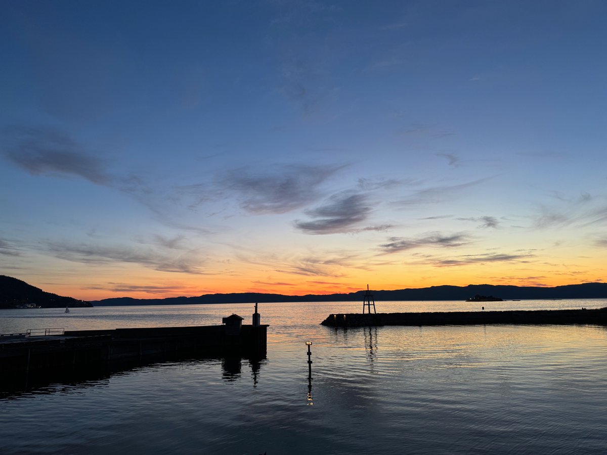 Dana Wong tweet media