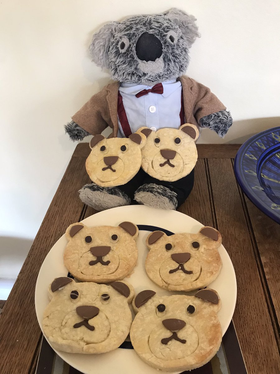 Kenny koala tweet media