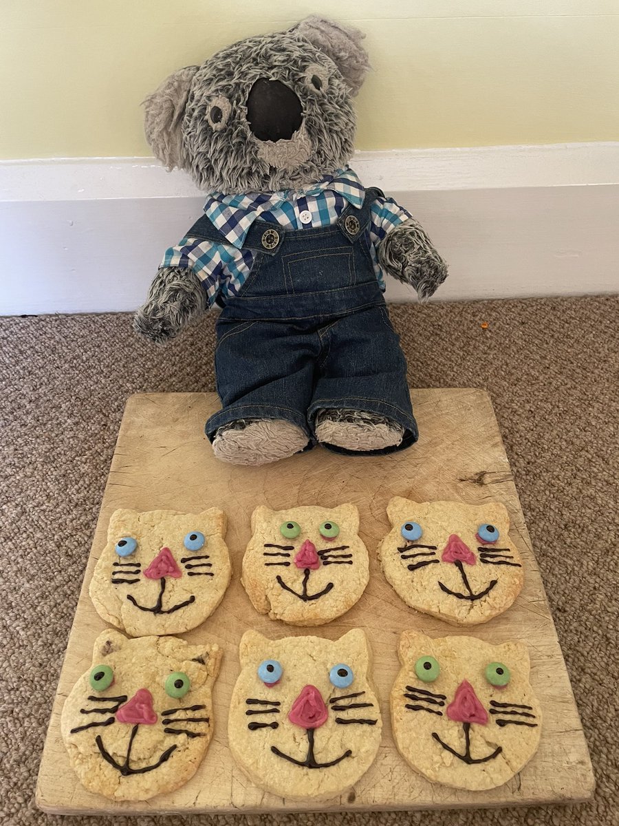 Kenny koala tweet media