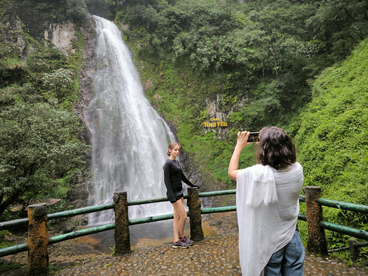Travel Sense Asia tweet media