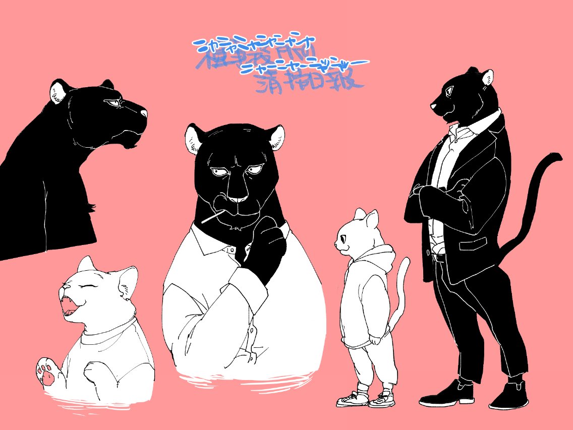 今日は「世界🐱の日」らしいですよ! 