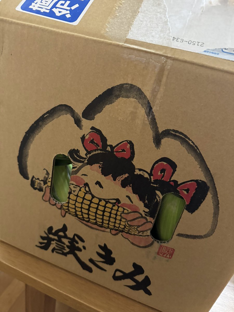 schnee1128's tweet photo. 昔姉が持っていた漫画で青森の嶽きみ食べててずっと憧れだったんですよ…
めちゃくちゃうまい…生でも甘くてさ… https://t.co/uOVsaqdWGw