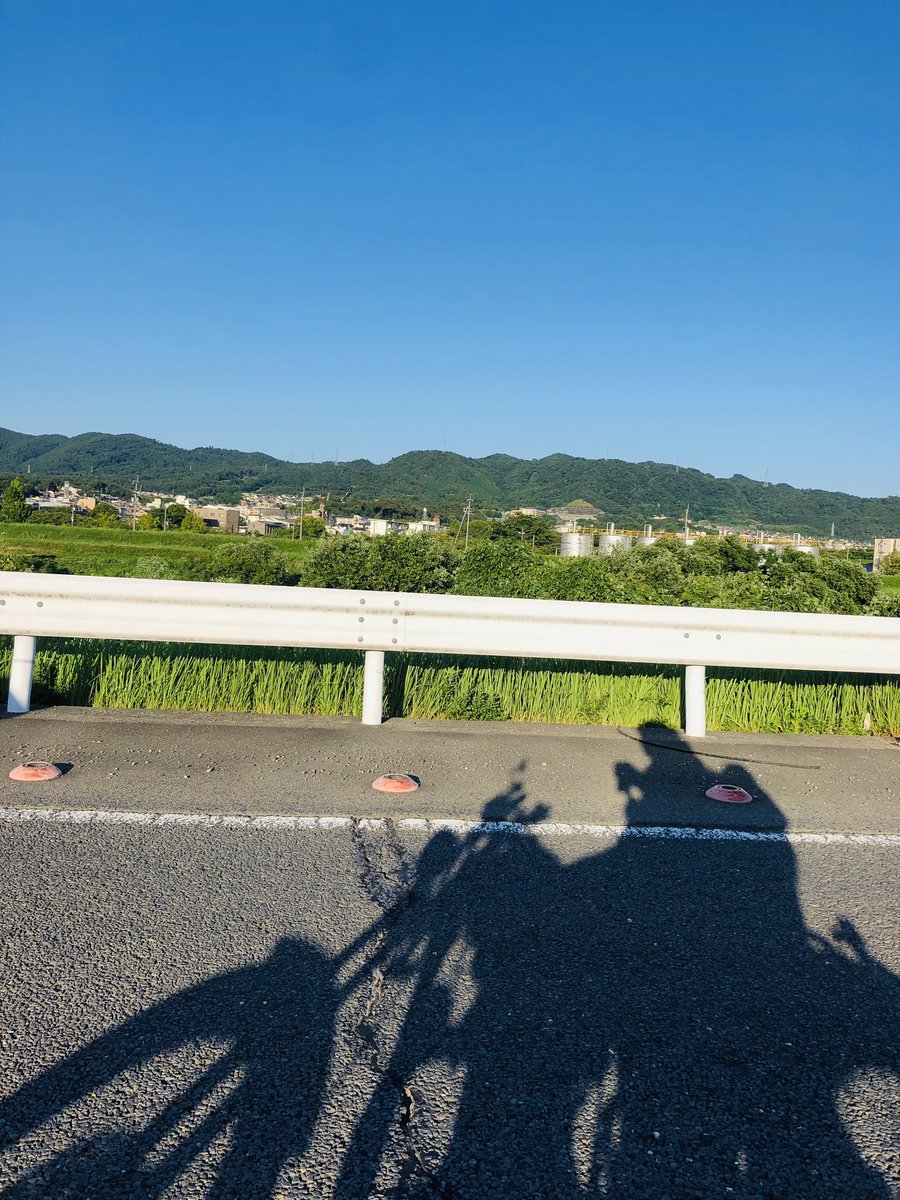 WaGaMoTABI's tweet photo. 京空パシャリ🏍️

#バイク
#バイク乗り
#旅
#神社
#空
#動物
#春夏秋冬
#キャンプ
#野宿
#旅人
#写真
#ご当地グルメ
#バイク旅 https://t.co/7nwc4Qnraa