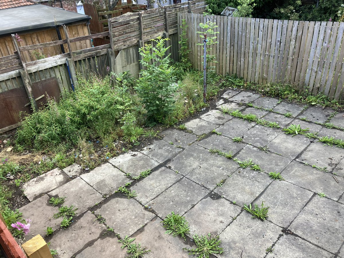 digitalmediafif's tweet photo. 14 months on from a fire in next door neighbour’s house, still no work carried out by @FifeCouncil @courier_fife Endless appeasement, endless workmen turn up stay a few hours then disappear never to be seen again. Endless emails to MPs and councillors and the end result is zilch https://t.co/TKWae7b2Mh