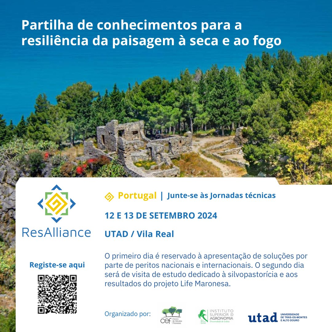 CEF - Centro de Estudos Florestais tweet media