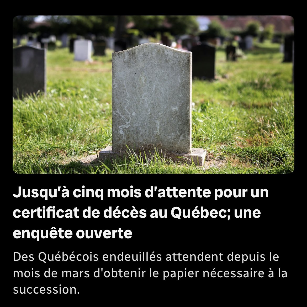 Thomas Gerbet tweet media