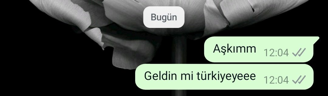 Dilaraasenoglu's tweet photo. Anlamazdıııınnn anlamazdıııınnnnn https://t.co/hg9lnJOIHl