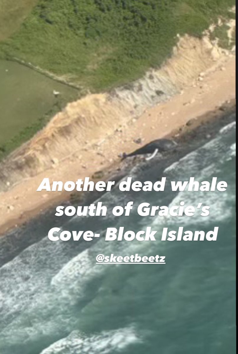 TheStonesEG's tweet photo. He can't be serious with this? @NRDems #coxesledge @GreenOceansRI #FRAUD @SethMagaziner https://t.co/TiP7iry6Dl
