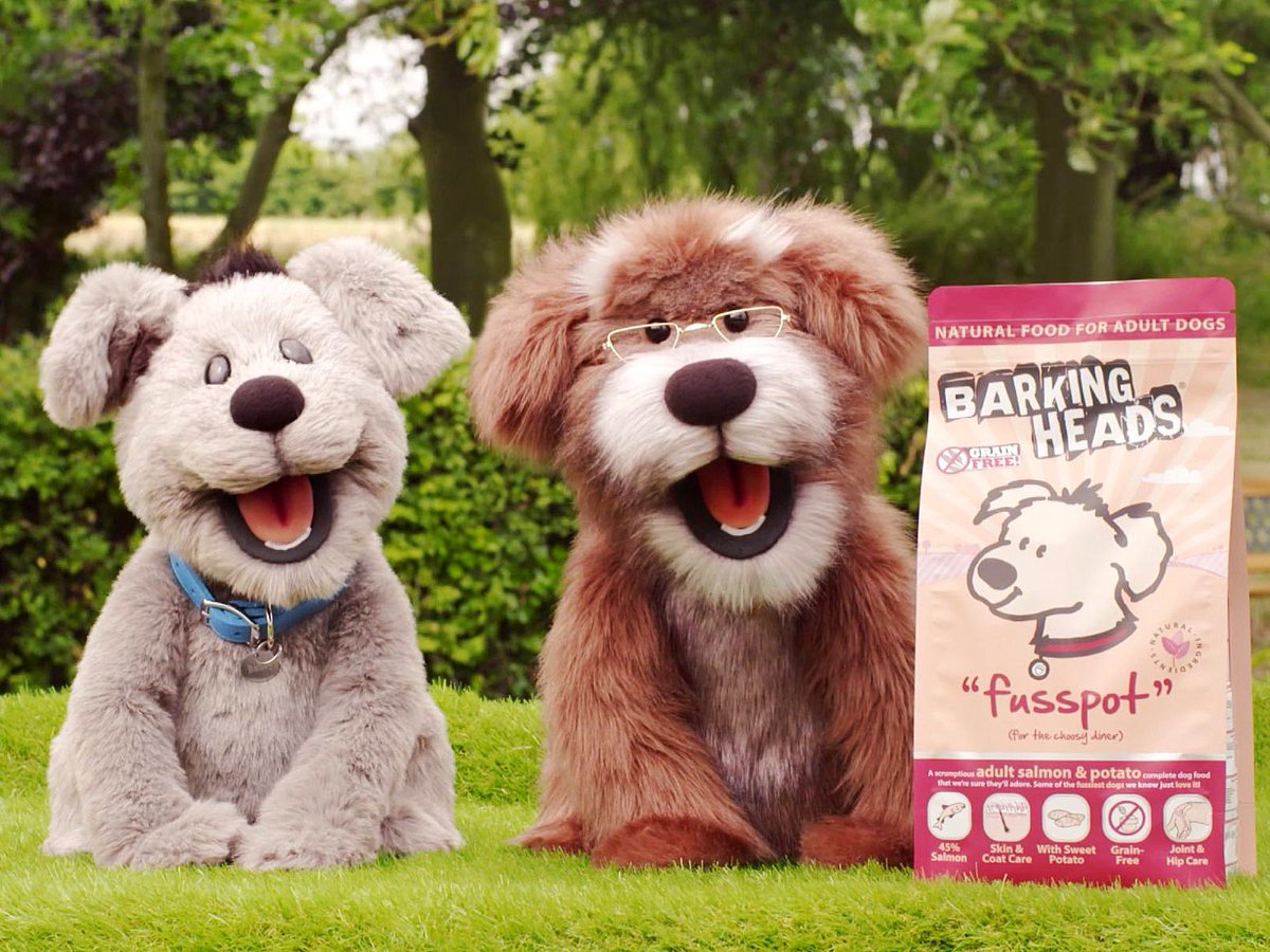 Phil_Gluvets's tweet photo. Here are some dog puppets I made for dog food TV ads a few years ago. #barkingheads #puppets #puppet #puppetbuilder #puppetbuilding #puppeteer #puppetmaker #puppetry https://t.co/xX4ShTgcsS