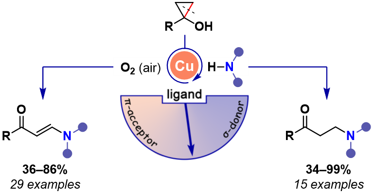 DzmitryKananov1's tweet image. Check out our new paper: a practical approach to synthesize synthetically useful enaminones and aminoketones from readily available cyclopropanols. A project that took years to complete because of many disruptions is finally out! 😀doi.org/10.1002/adsc.2…