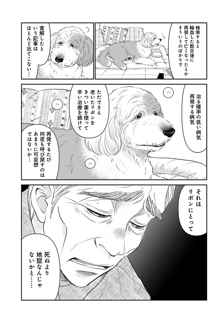 🔔更新情報🔔

『DOG SIGNAL』(作:みやうち沙矢@DogSignal)
第51話③を公開しました!
まだリボンと一緒にいたい🫧どうぞお楽しみください!

https://t.co/Vvr74hnWP0

#カドコミ #コミックブリッジ #うちのこシグナル 