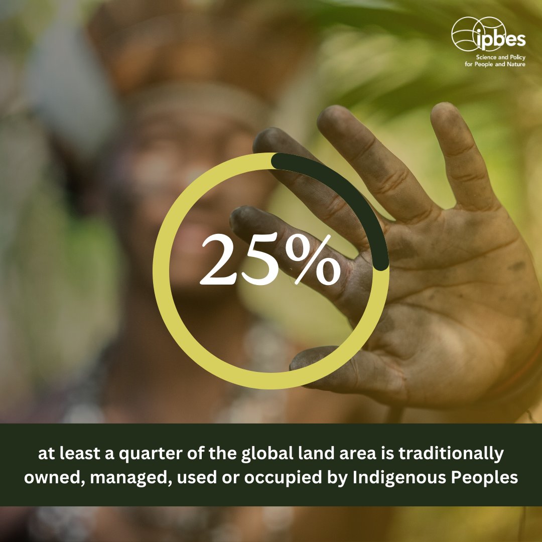 On #IndigenousPeoplesDay, let's remember that ⬇️

Local knowledge &amp; practices can enhance #nature conservation, restoration &amp; sustainable use.🦙

- <a href="/IPBES/">ipbes</a> #GlobalAssessment

ipbes.net/global-assessm…